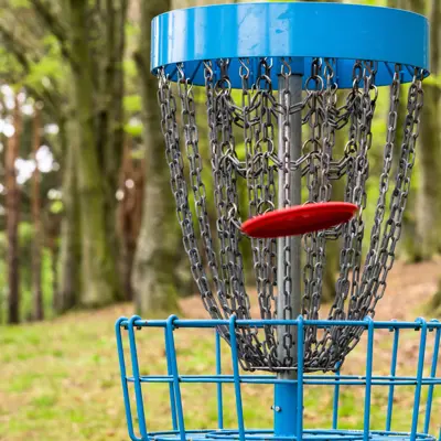 Close up of a disc golf disc hitting the goal